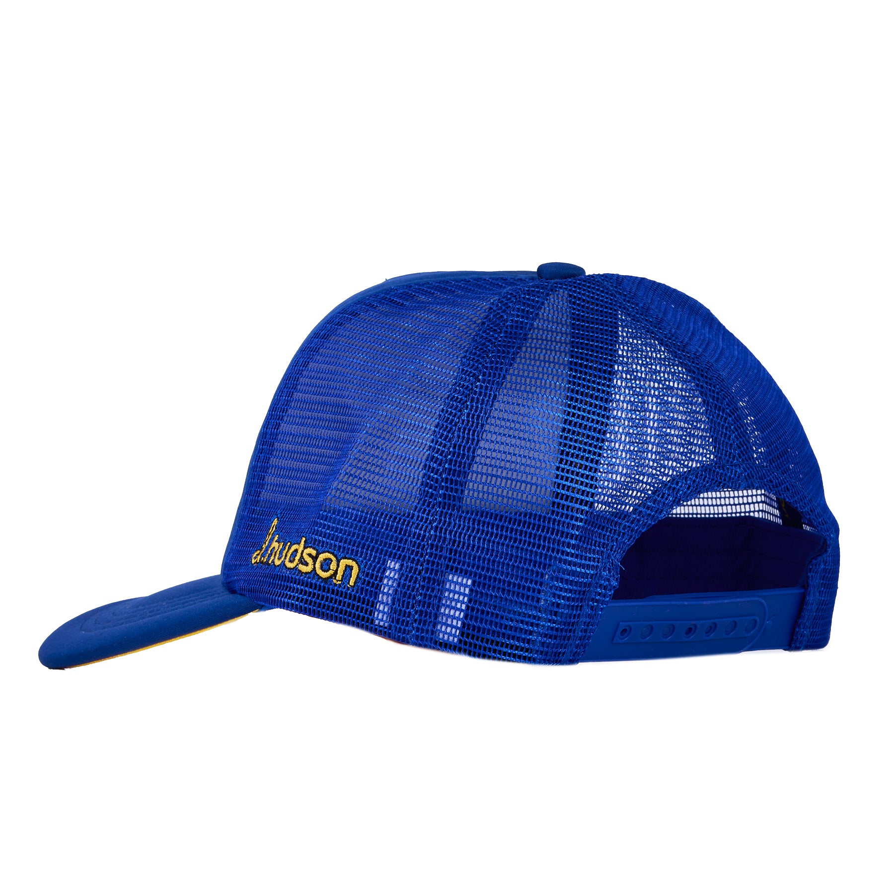 Golden Bear (Blue/Gold)