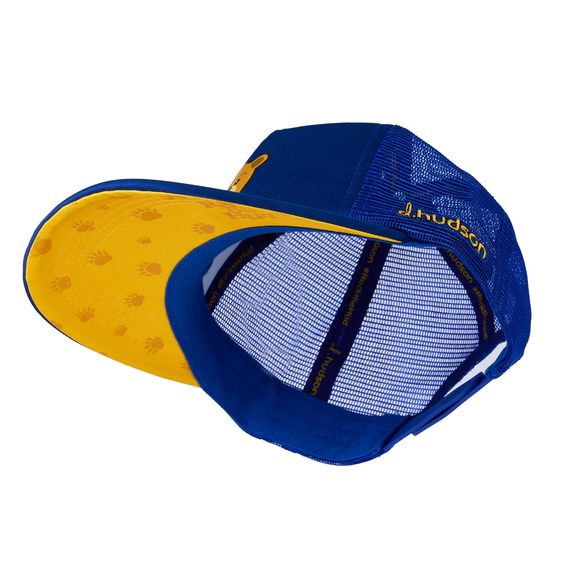 Golden Bear (Blue/Gold)